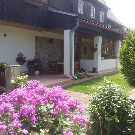 Ubytovani U Sviraku Srbská Kamenice Kültér fotó